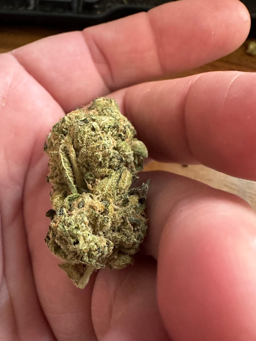 Customer photo review of Ice Cream Cake THCA Flower (Budget)