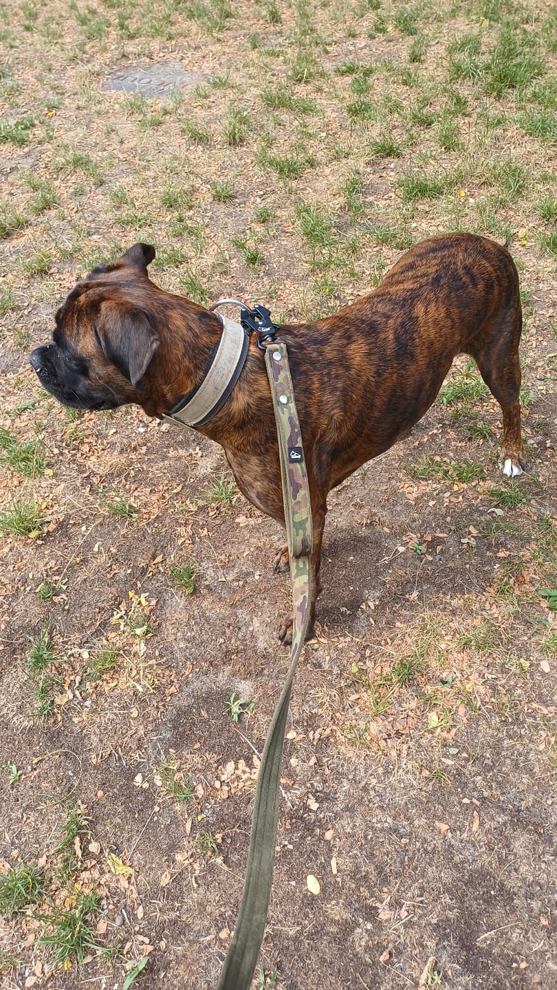 Customer photo review of Smycz z dodatkową rączką - Guard Leash Camo Green