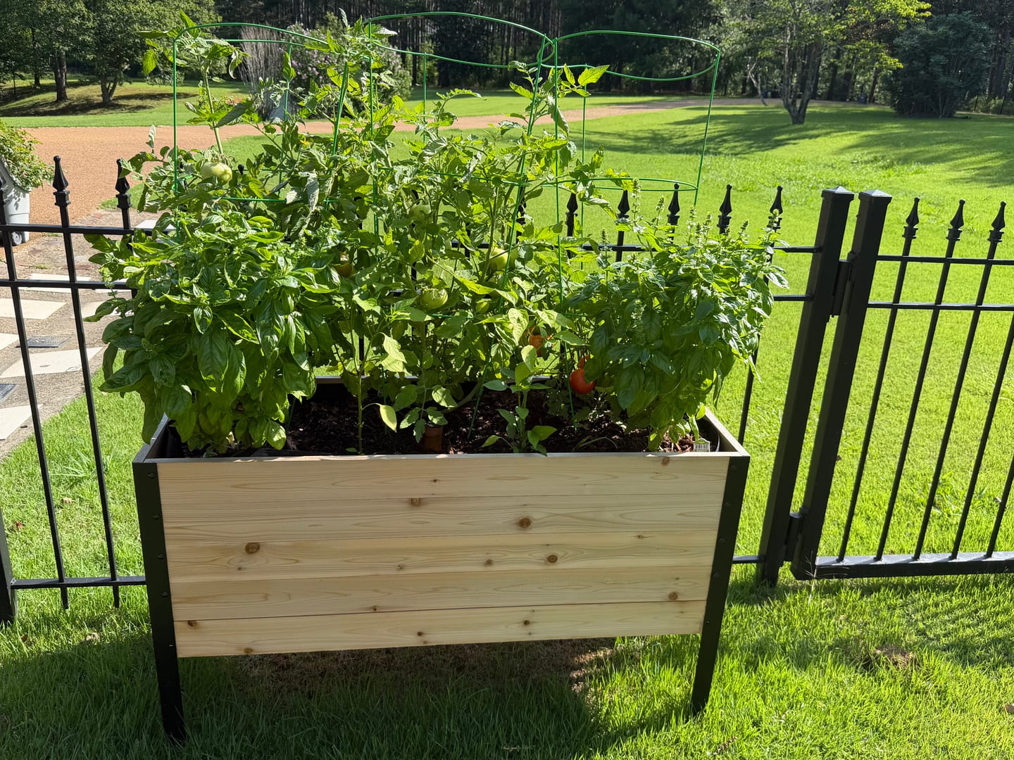 Customer photo review of Greenhouse Cover