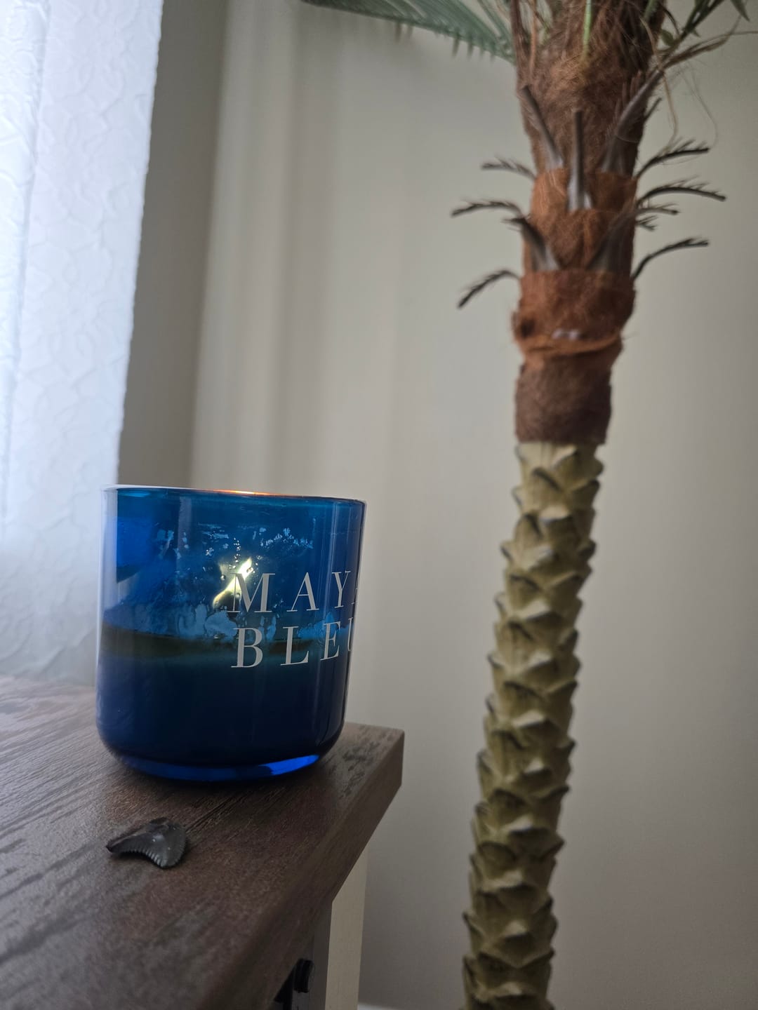 Customer photo review of The Original Shark Tooth Candle