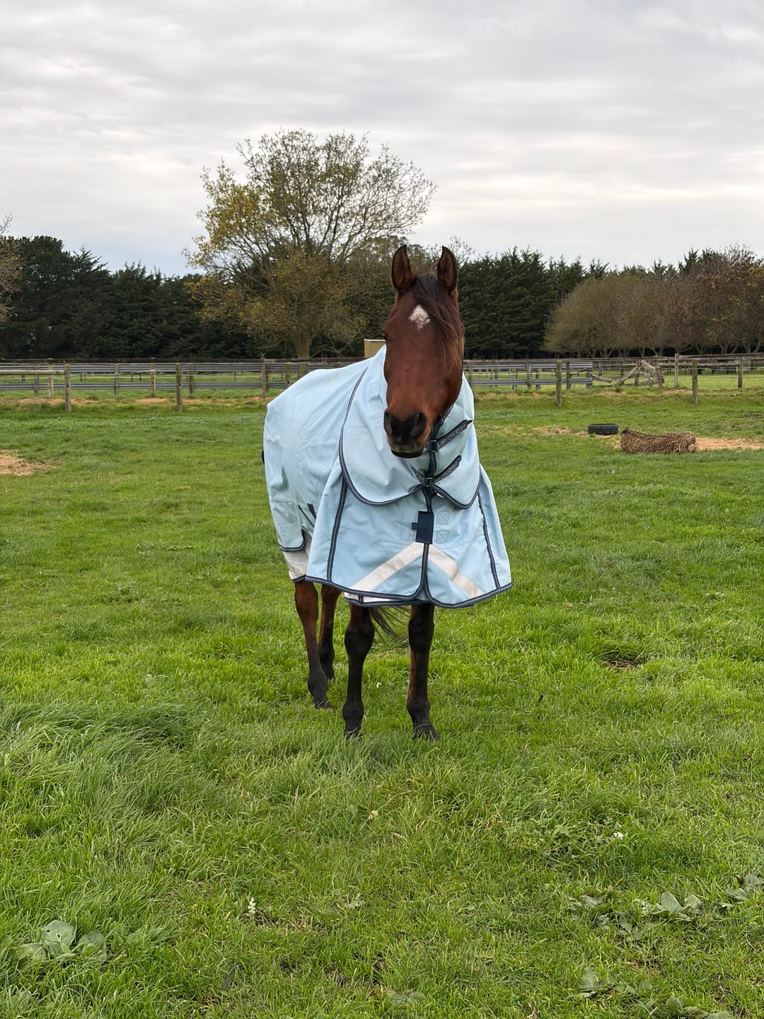 Customer photo review of LE Boxter Turnout 0g
