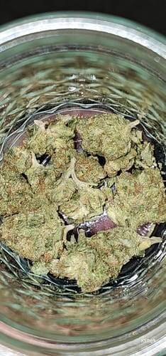 Alien OG - 4 Grams - Indica photo review