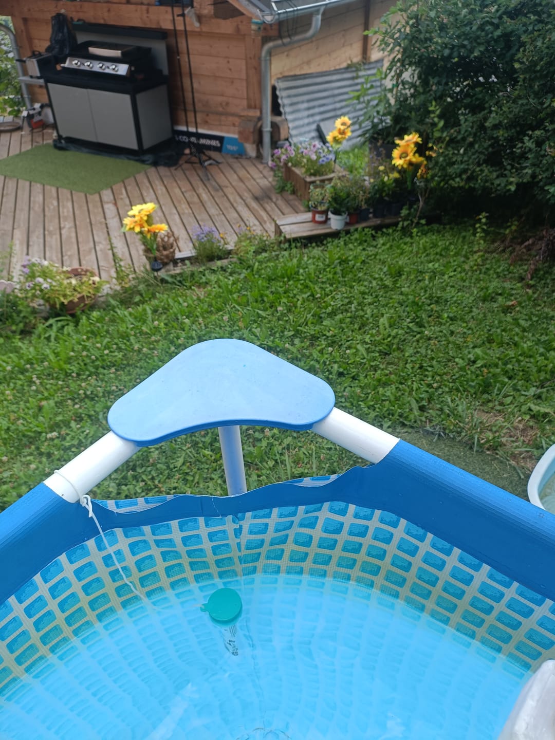 Customer photo review of Mes petits tournesols®