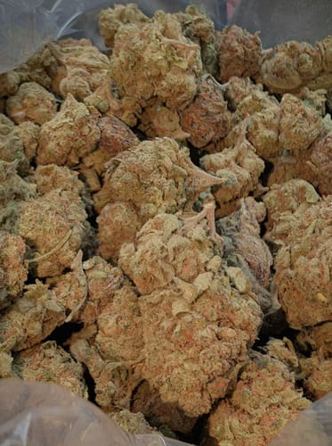Blueberry Syrup - Bulk - Indica photo review
