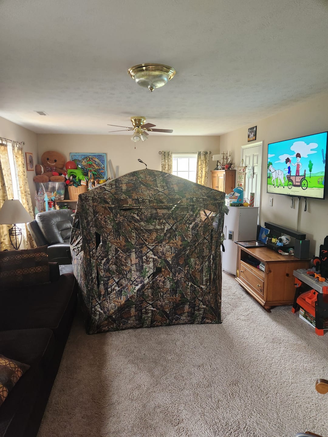 Customer photo review of FLASH SALE VisST See-Through Pop-Up Ground Blinds with Silent Magnetic Door