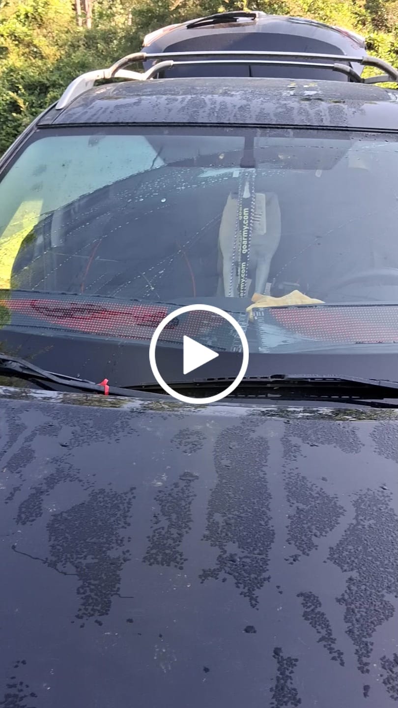 Customer video review of LED Windshield Eyes │ Night-Time Visibility With Style