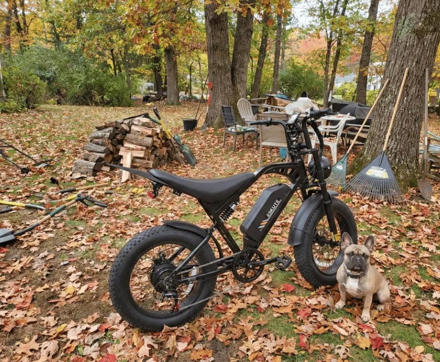 Customer photo review of Eskute V202 Retro E-Bike