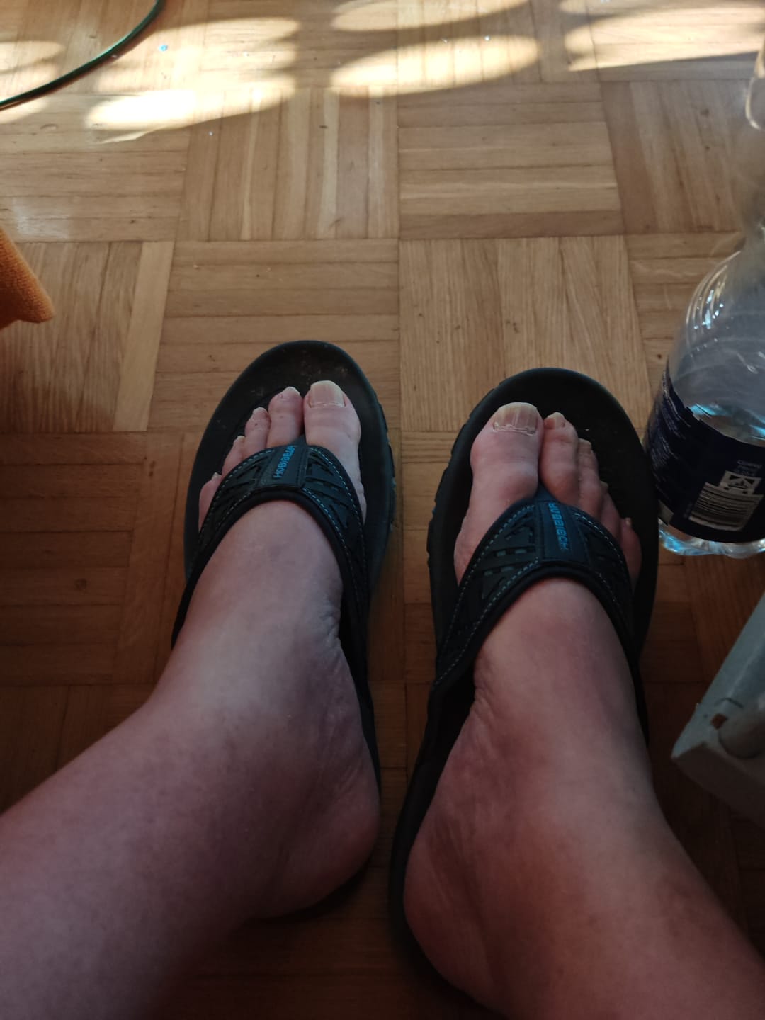 Customer photo review of Transportversicherung