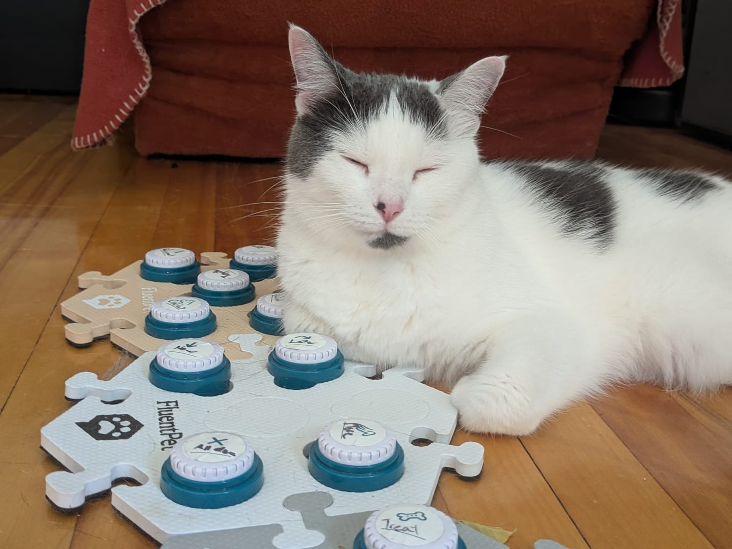 Customer photo review of Key Vocab Kit Neutral