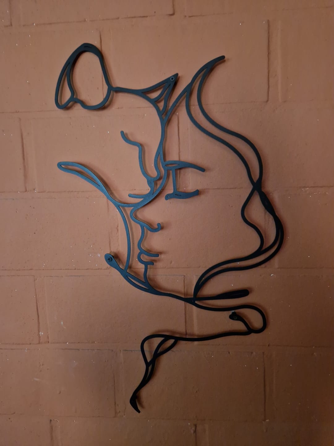 Customer photo review of Décoration Murale Métal - Amoureux des chats