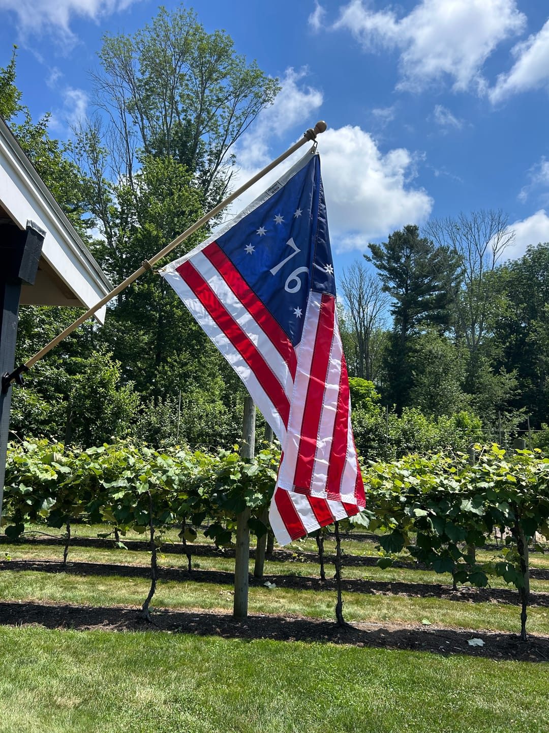 Customer photo review of 16" x 24" American Flag