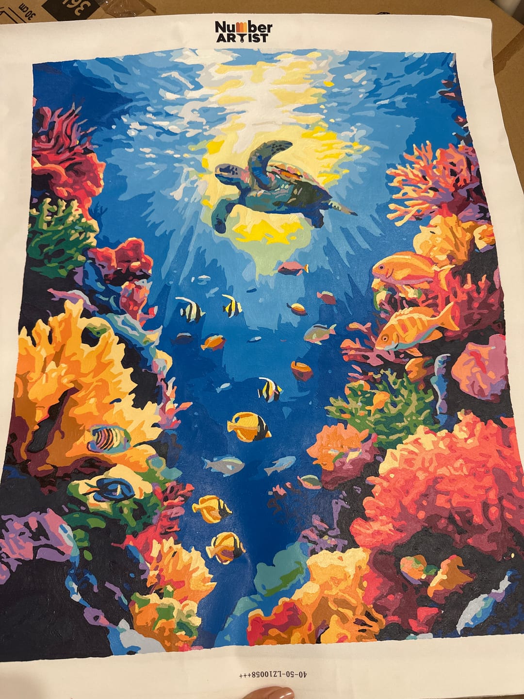 Customer photo review of Below the Surface