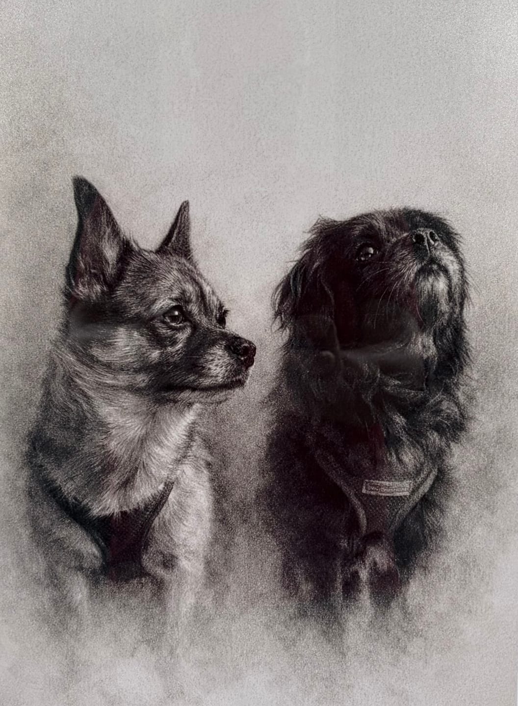 Customer photo review of Charcoal - Personalised Poster