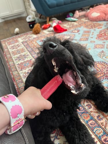 Customer photo review of Strawberry Yak Chew — Vitamin C, Fiber & Teeth Whitening (CA)