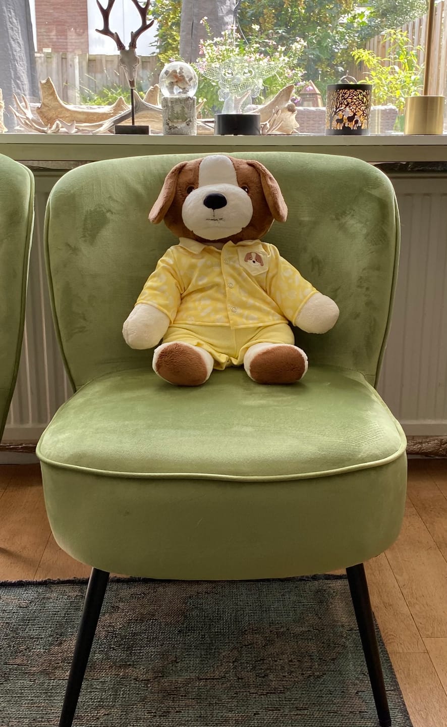 Customer photo review of Hond Kleding Zomer Lotgenootje