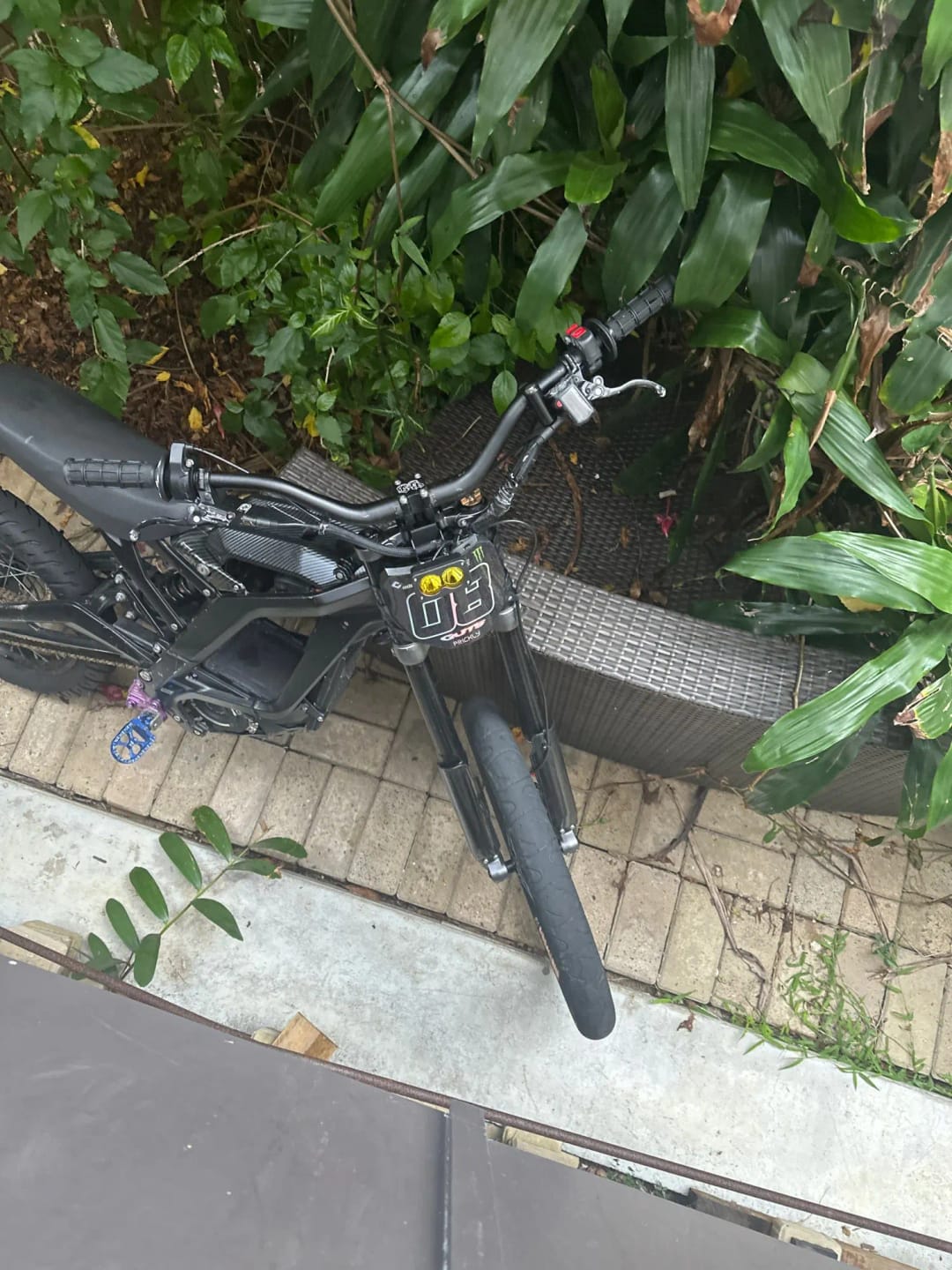 Customer photo review of Yozma Baja Light