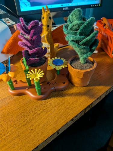 Customer photo review of Felt Green Jade Succulent Plant with Lokta Paper Pot