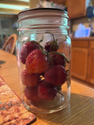 Customer shows fresh strawberries in a mason jar, kept fresh for 10 days after using the Mason Genie Vacuum Sealer.