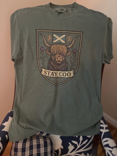 Customer's gray-green Highland Cow T-shirt with a "Scottish Heraldry" graphic, shown draped over the back of a chair.