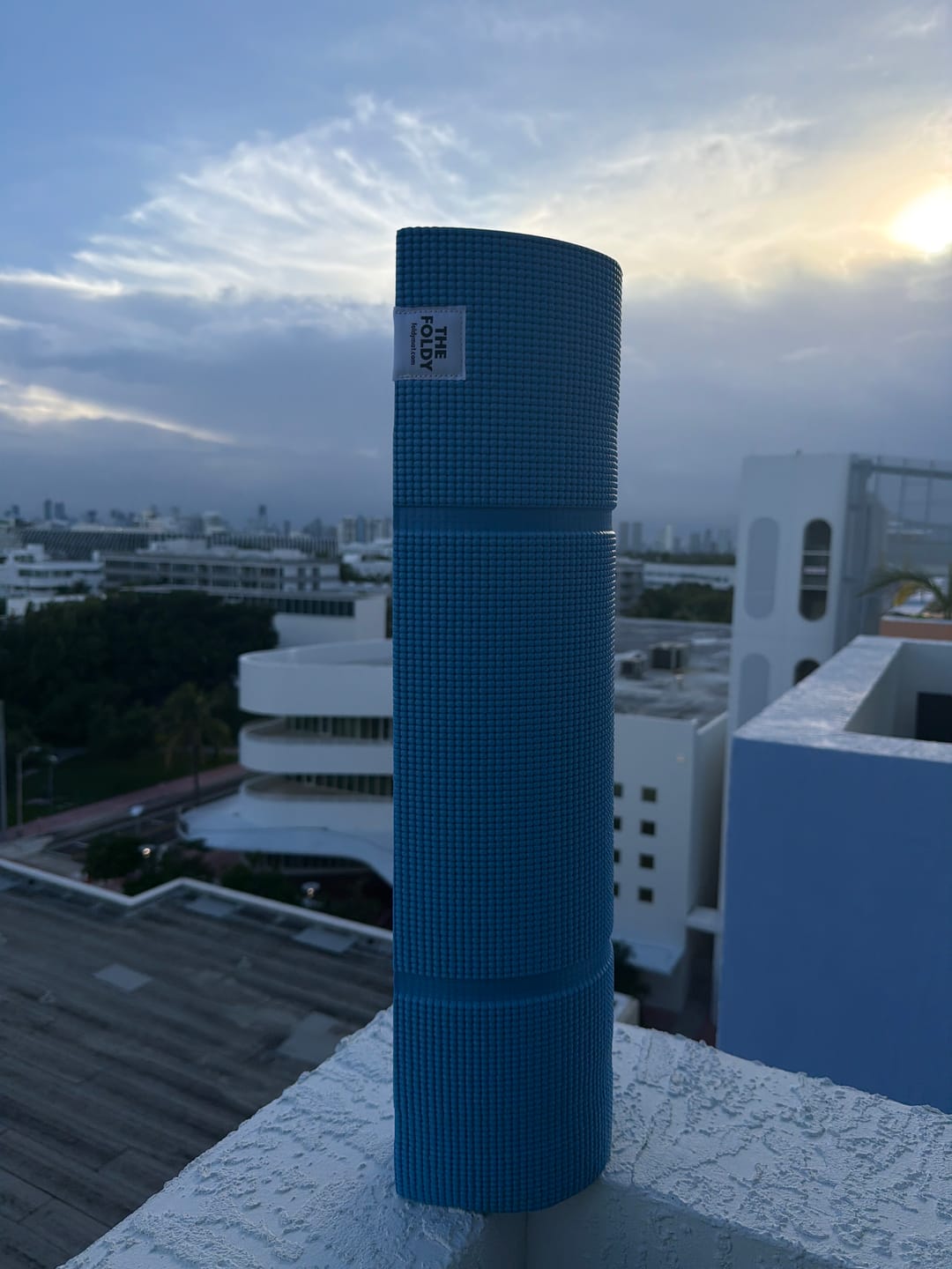 Customer photo review of The Foldy Mat