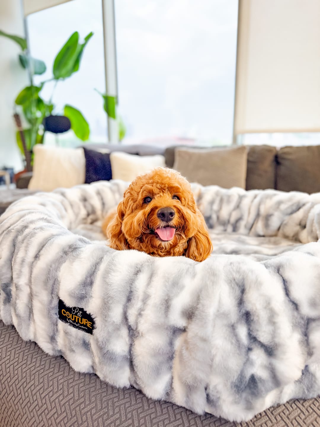 Customer photo review of Cloudy Day Blue Pet Bed