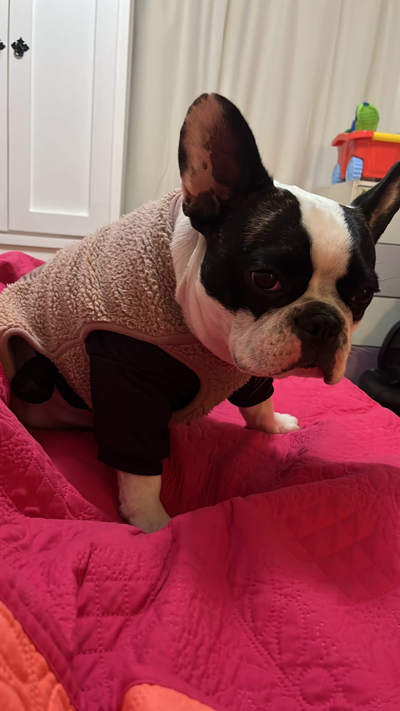 Customer photo review of Polera Térmica Power Stretch™