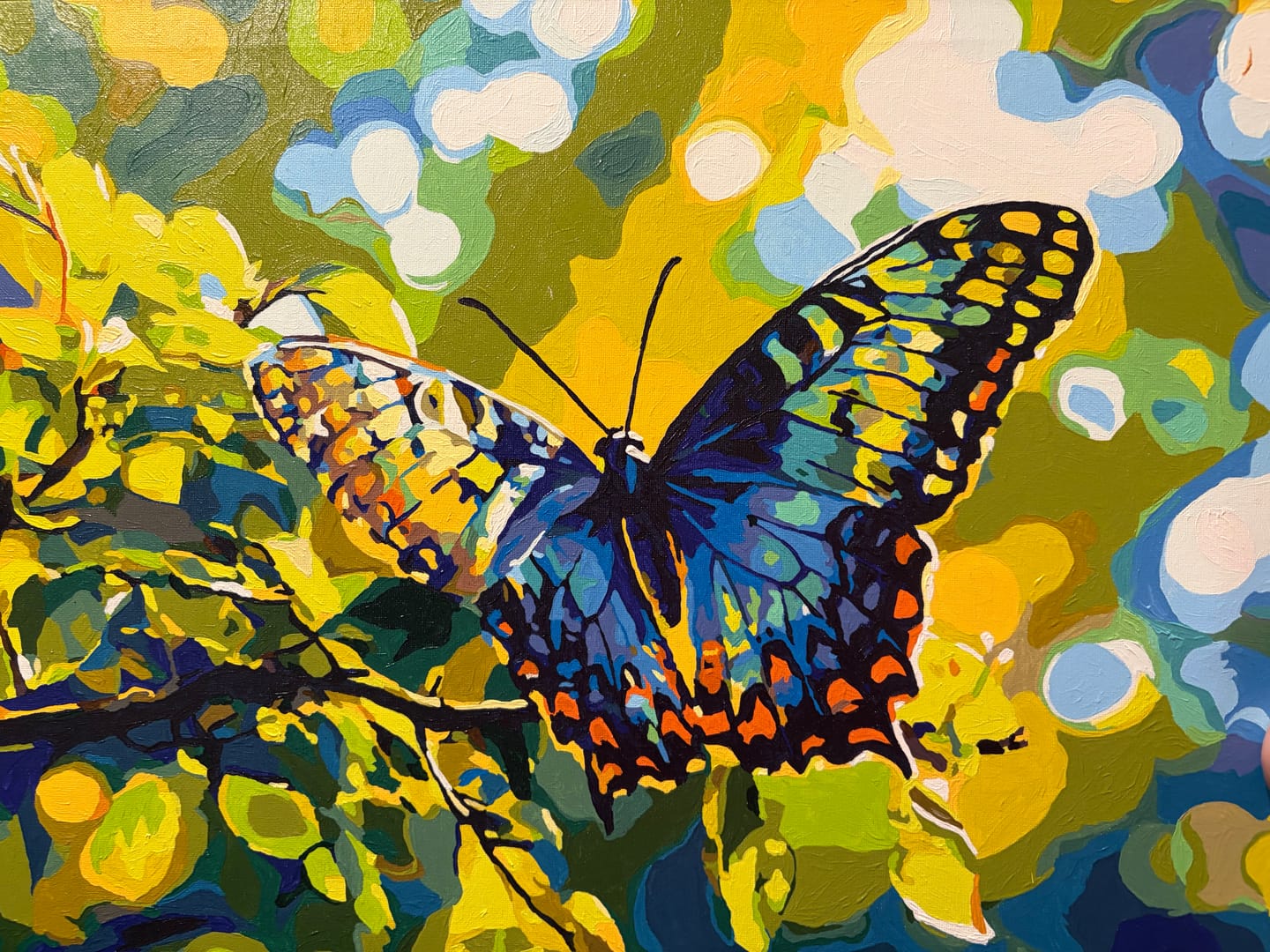 Customer photo review of Sunlit Flutter