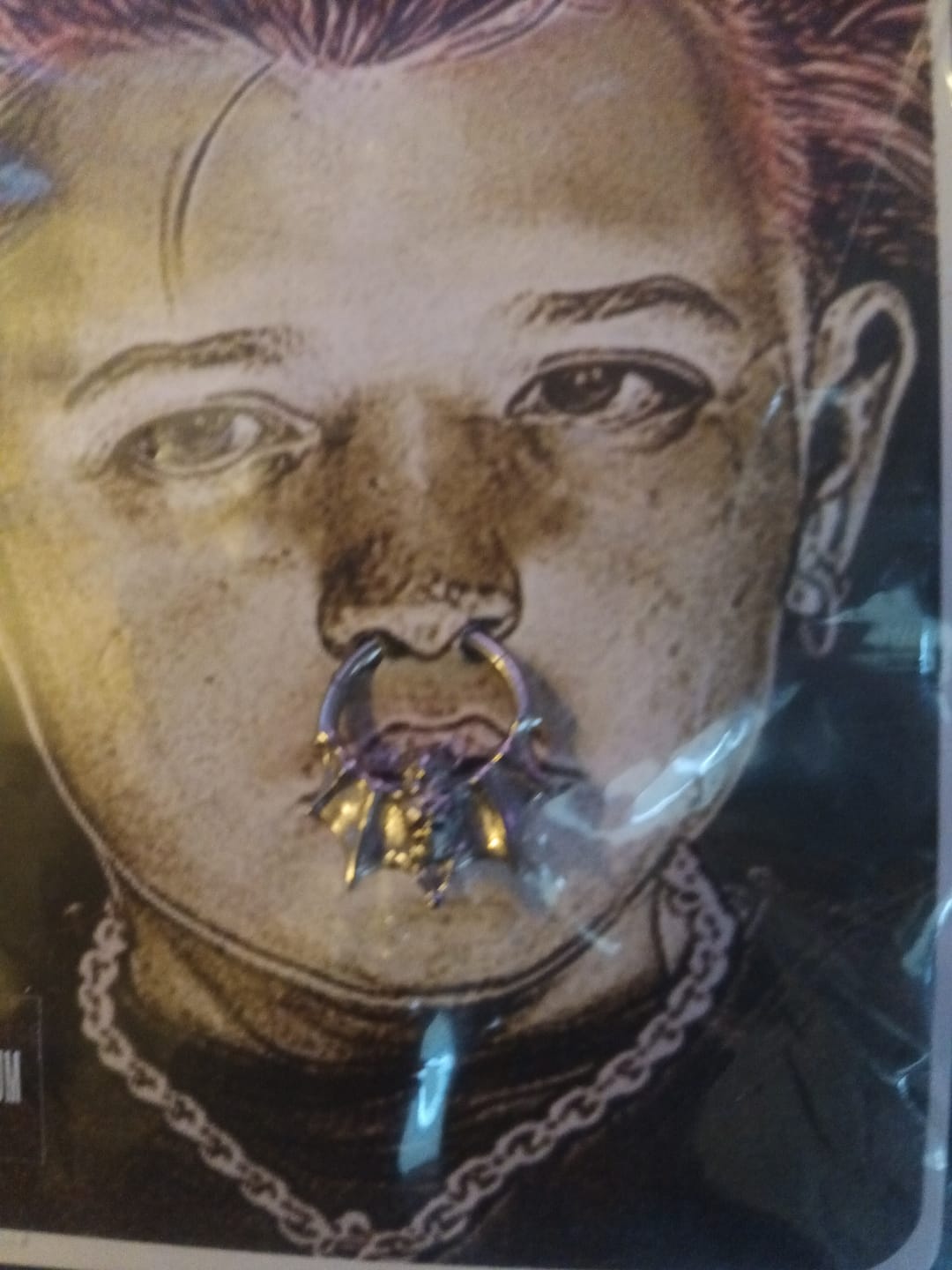 Customer photo review of BAT SEPTUM