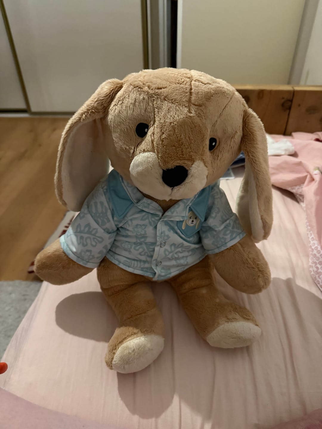 Customer photo review of Konijn Kleding Zomer Lotgenootje