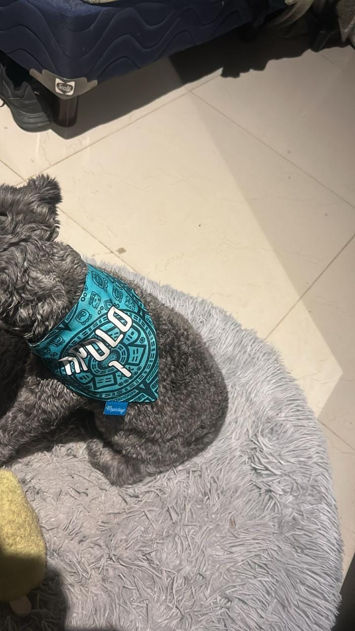 Customer photo review of Bandana Personalizada: CUP