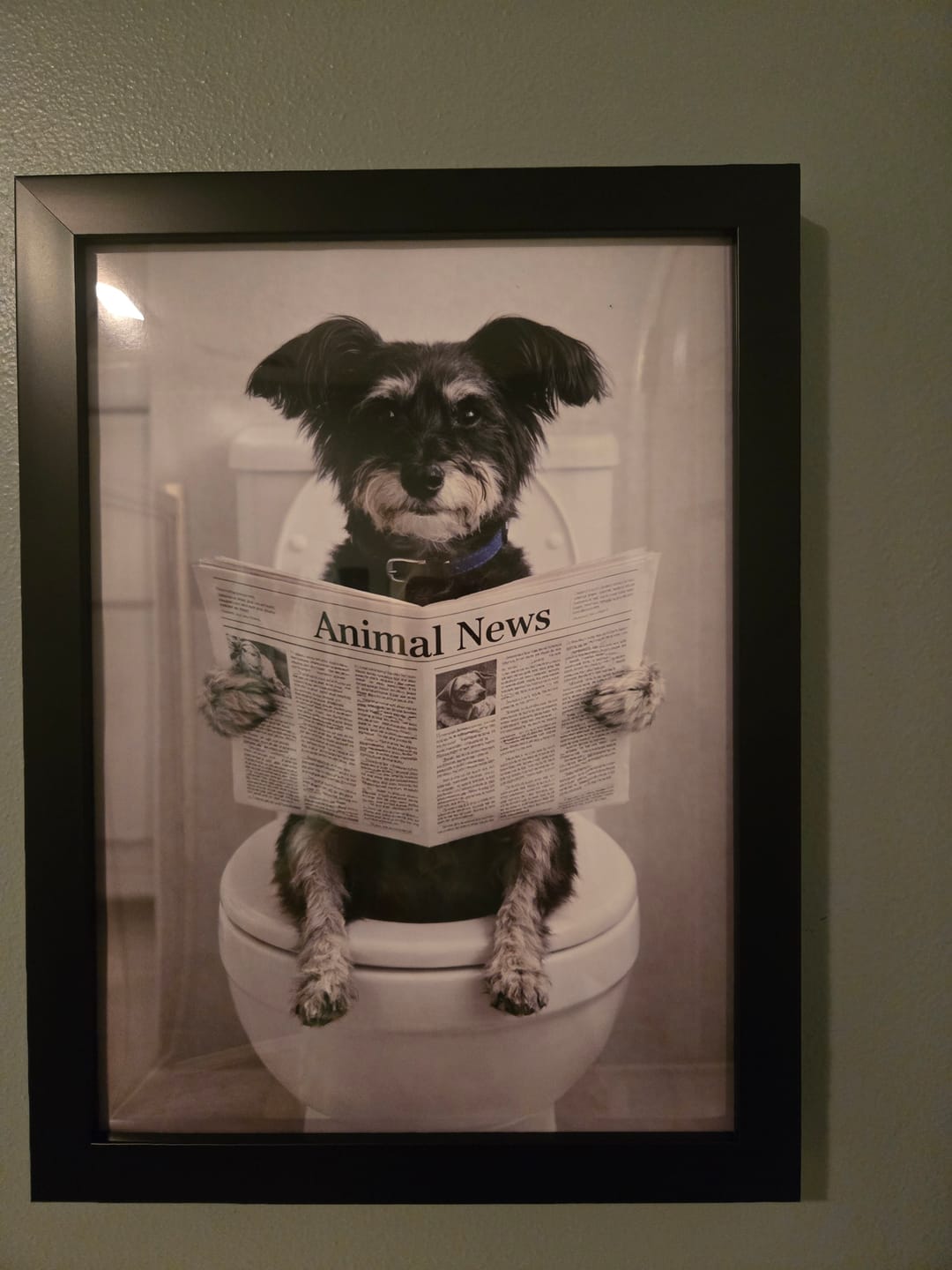 Customer photo review of Bathroom - Personalized Poster
