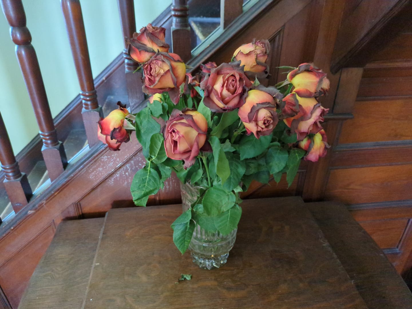 Customer photo review of Leonidas Terracotta and Cream Rose
