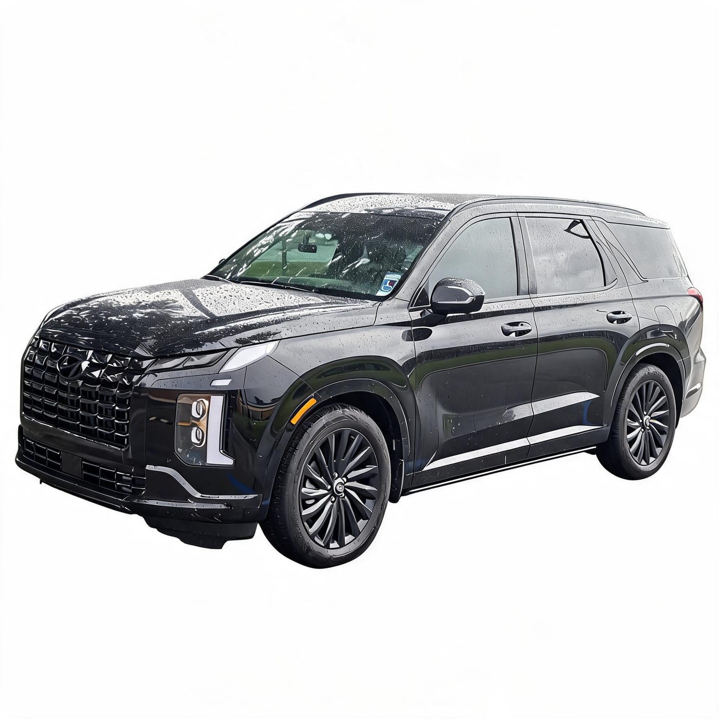 Customer photo review of Hyundai Palisade Running Boards 2020 - 2025