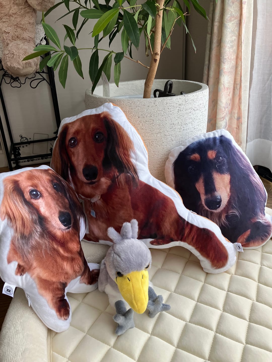 Customer photo review of 世界にひとつだけ♪好きな写真で作るオーダーメイドクッション（20～80cm）