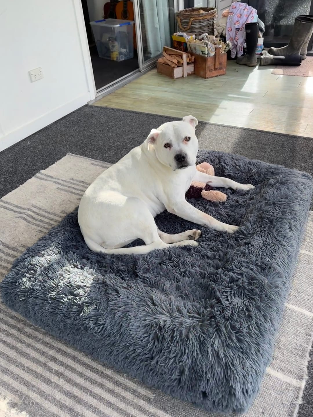 Customer photo review of Orthopaedic Memory Foam Bed