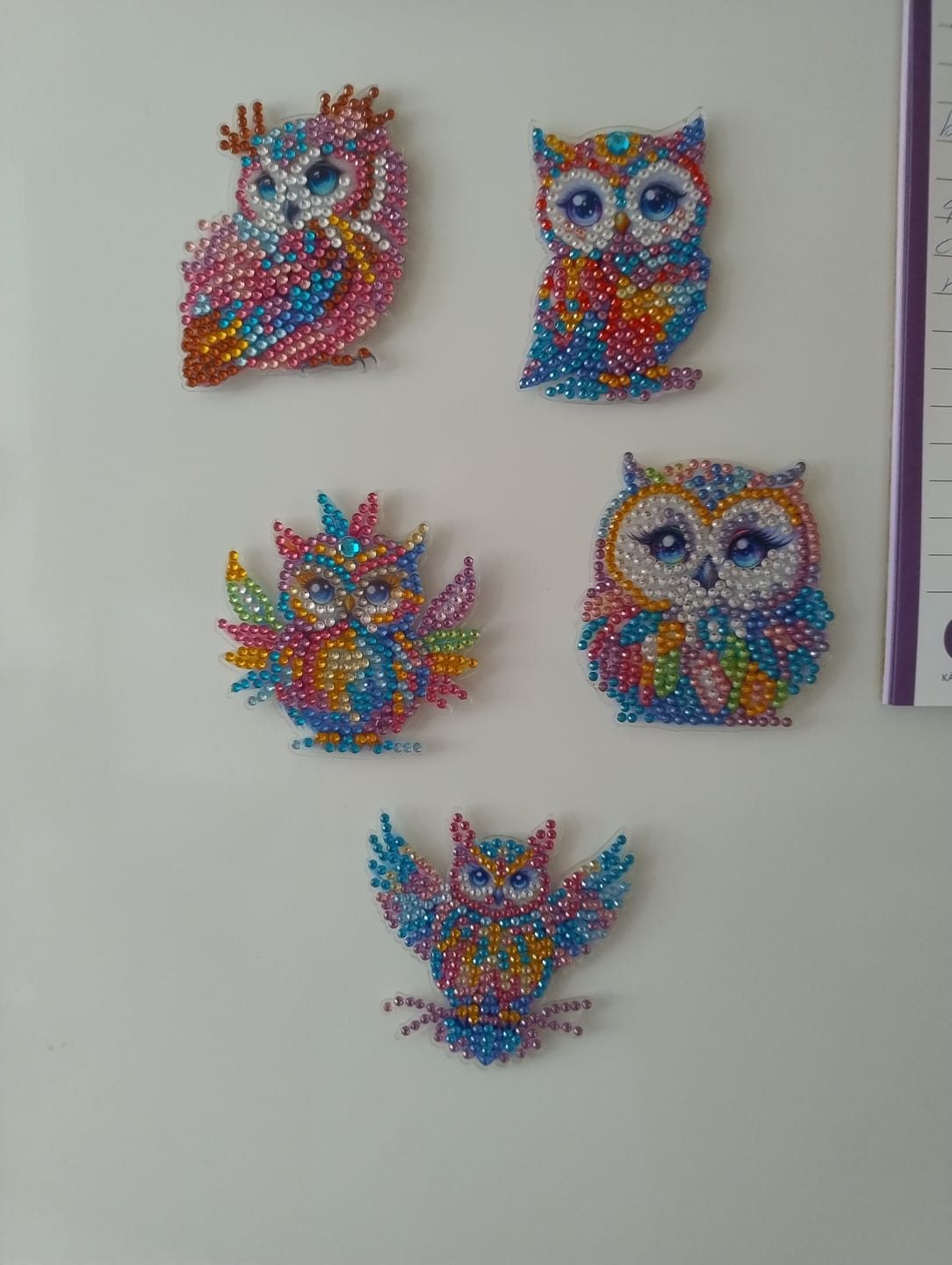 Customer photo review of Diamond Painting Magneter – Set med 6 ugglor