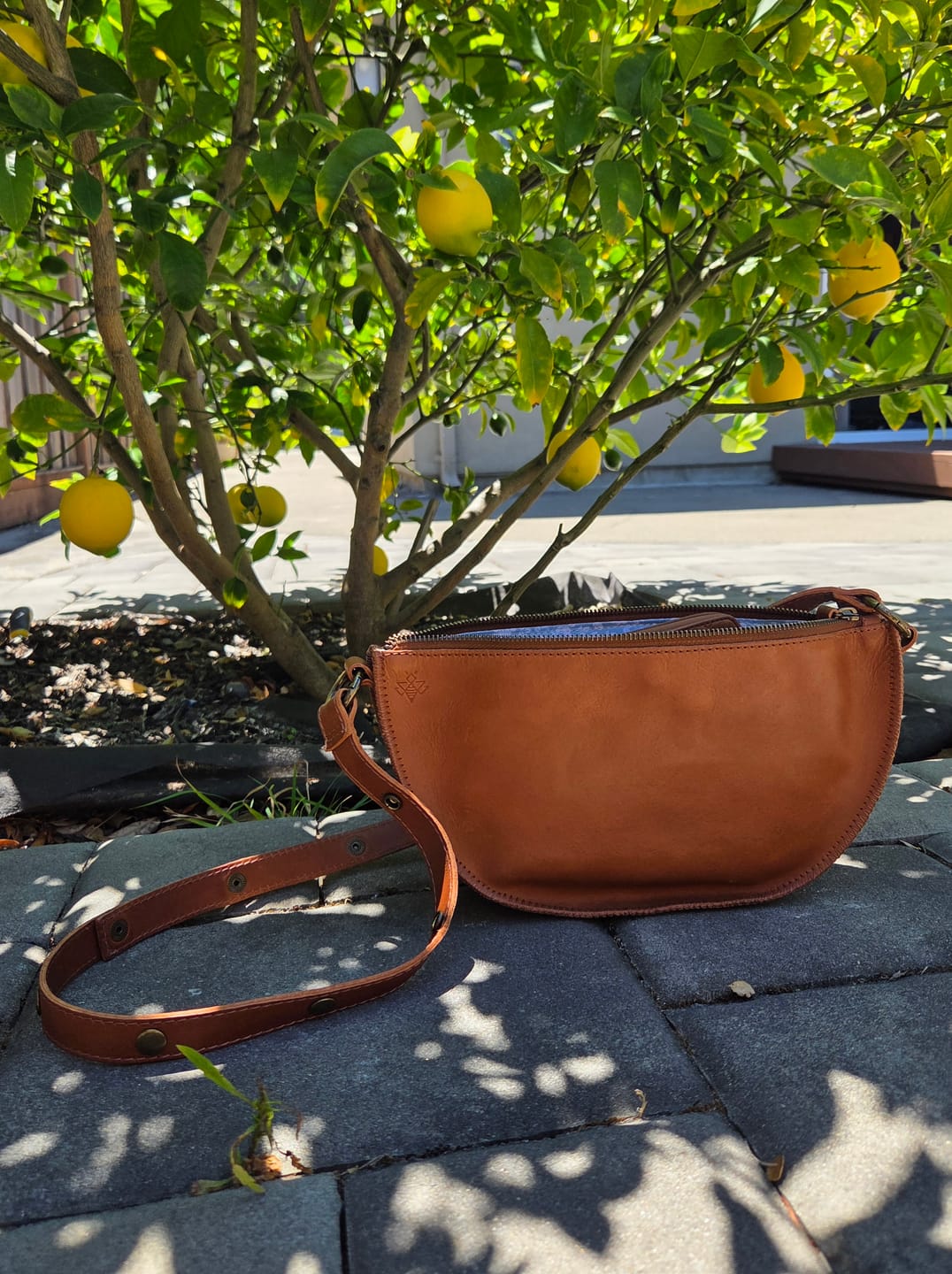 Customer photo review of Honey Biggie Bee (Seconds)