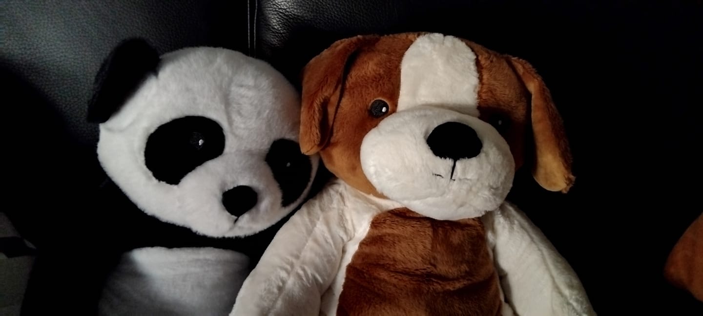 Customer photo review of Lotgenootje Panda 2kg
