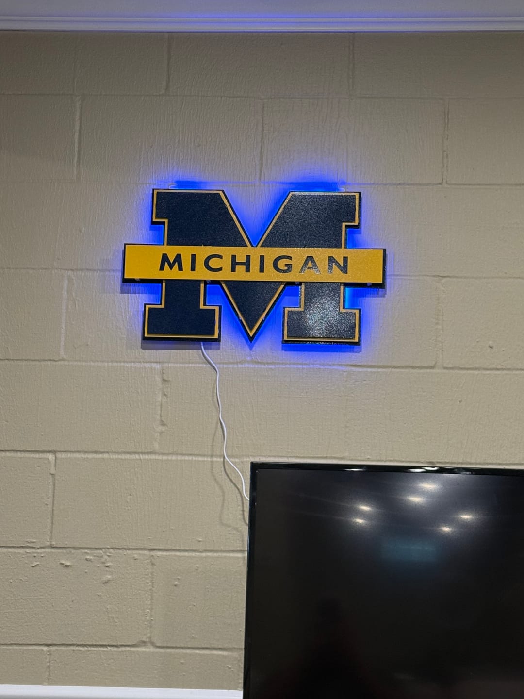 Customer photo review of Michigan Wolverines "Block M With Michigan Wordmark" 3D Metal Wall Art