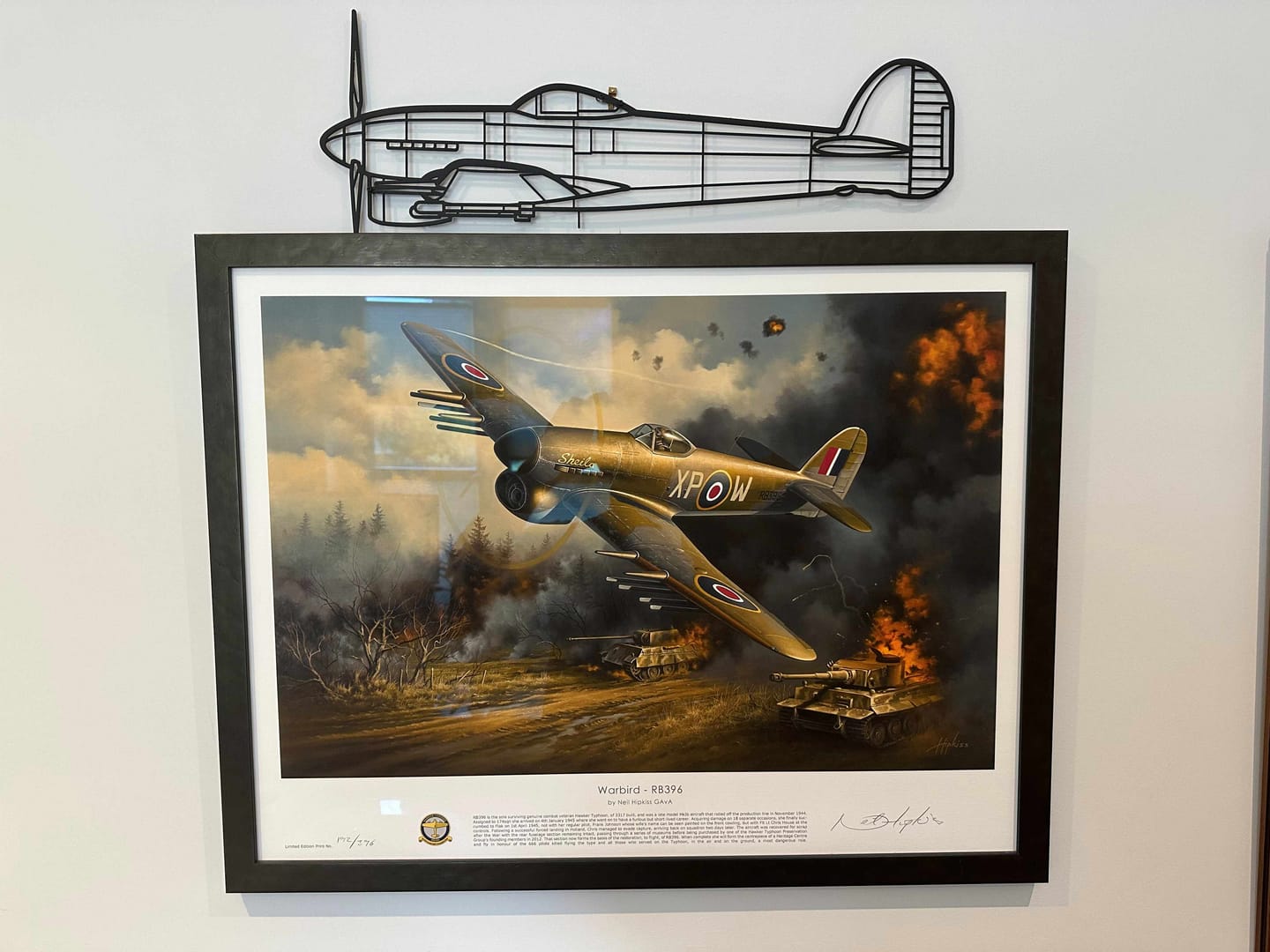 Customer photo review of Typhoon Silhouette Metal Wall Art