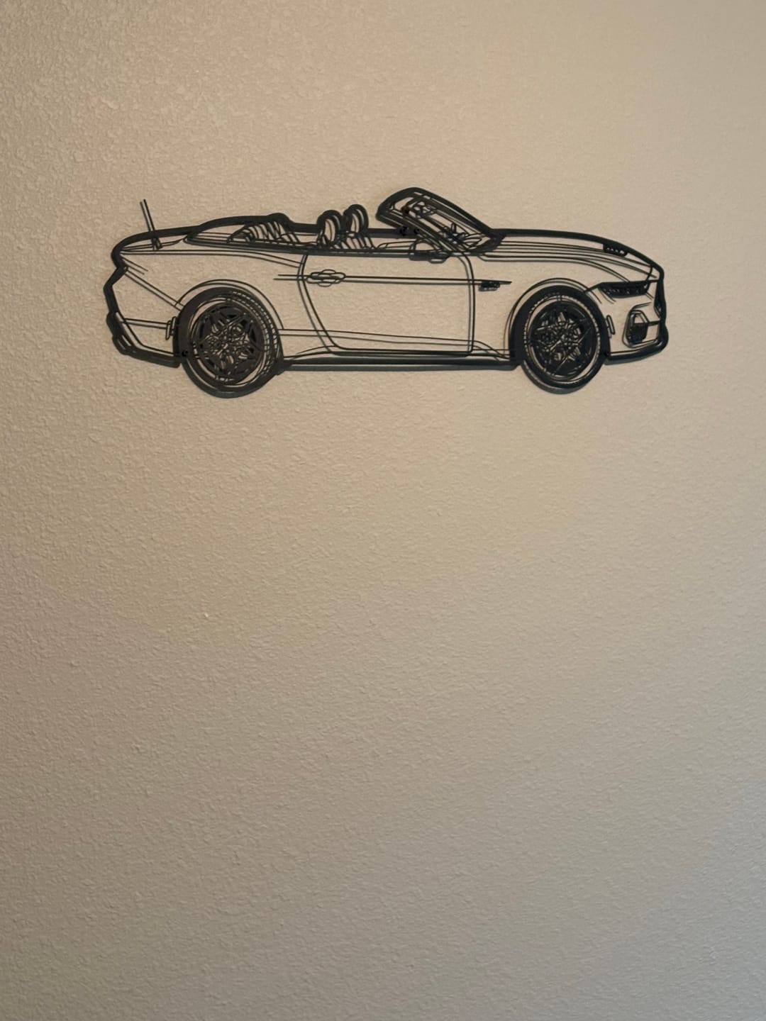 Customer photo review of Your Personalized Car Metal Wall Art - MT1113