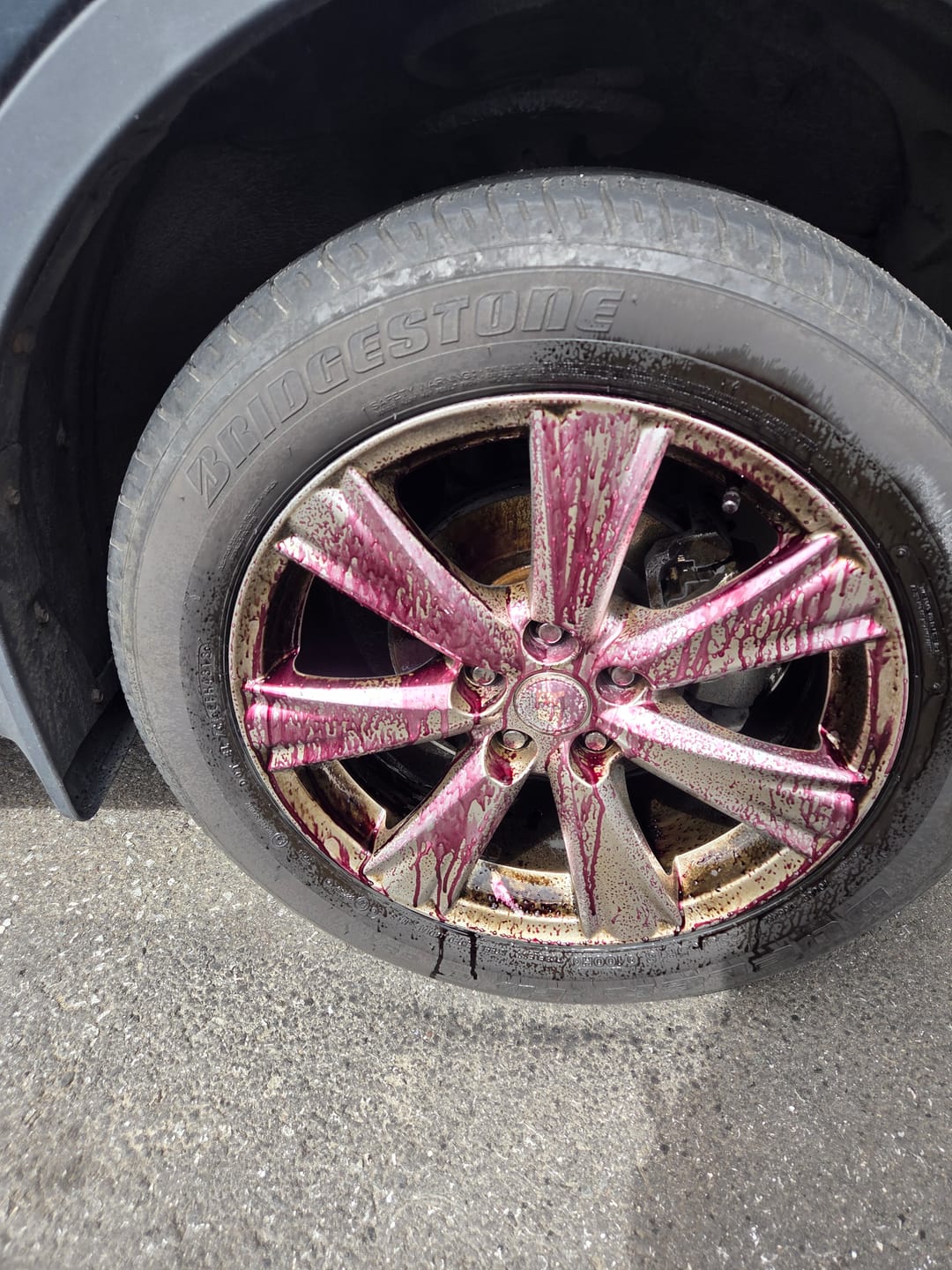 Customer photo review of Breakup Wheel Cleaner
