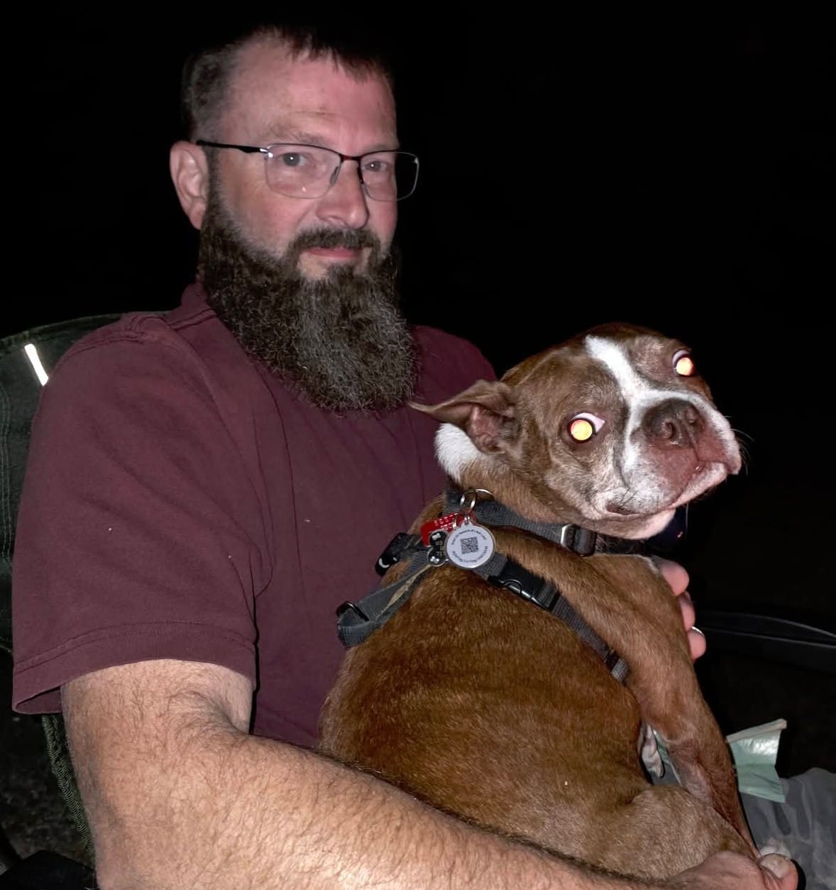 Customer photo review of Necto RV Pet Temperature Monitor