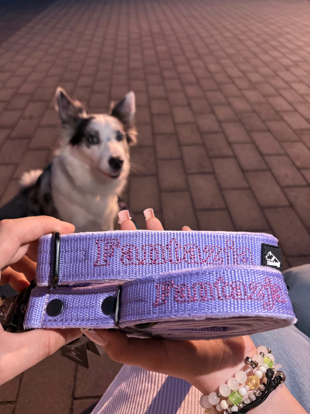 Customer photo review of Smycz przepinana dla psa z imieniem - Personal Multi Leash