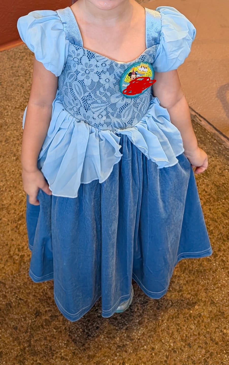 Customer photo review of Portrait Collection Cinderella Gown