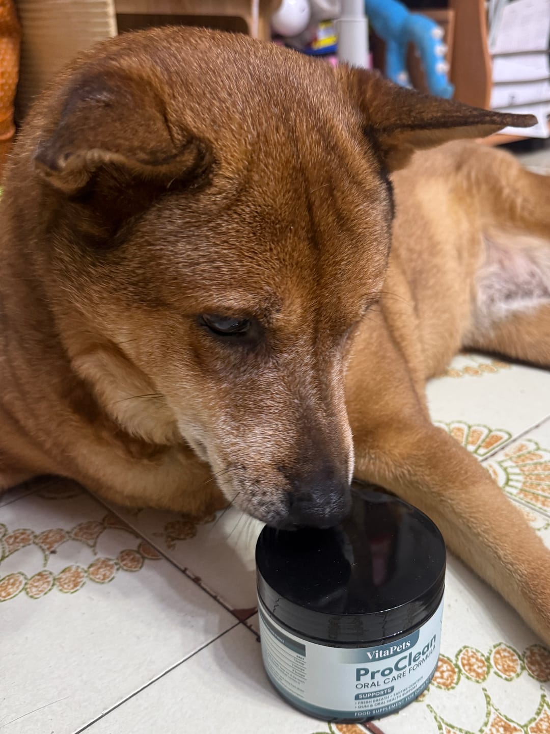 Customer photo review of ProClean™狗狗天然潔牙護齒配方