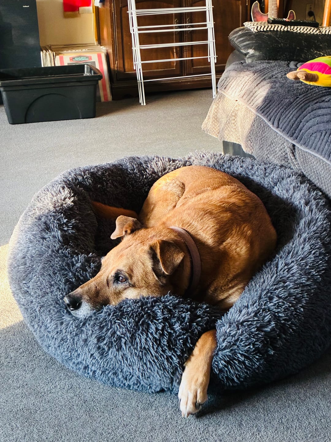 Customer photo review of Spare Covers for Brooklyn® Deep Sleep