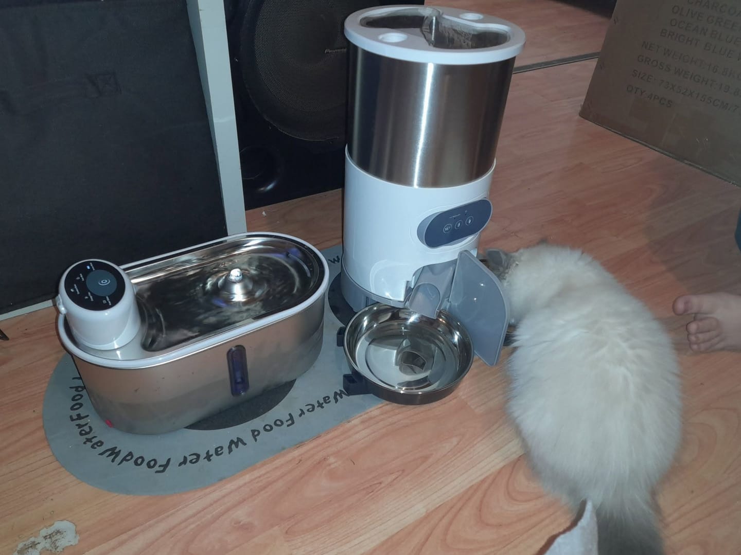 Customer photo review of Petbuds Flow Pet Drinking Fountain