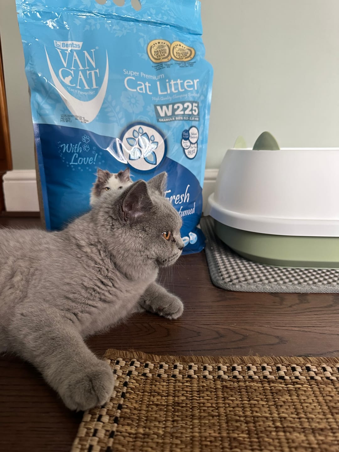 Customer photo review of All-Rounder Scented Cat Litter (W225) 10KG
