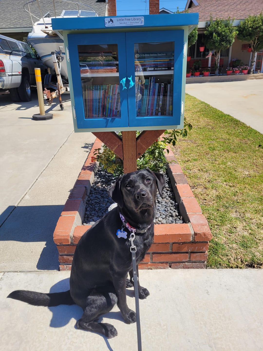 Customer photo review of Little Free Library Official Charter Sign